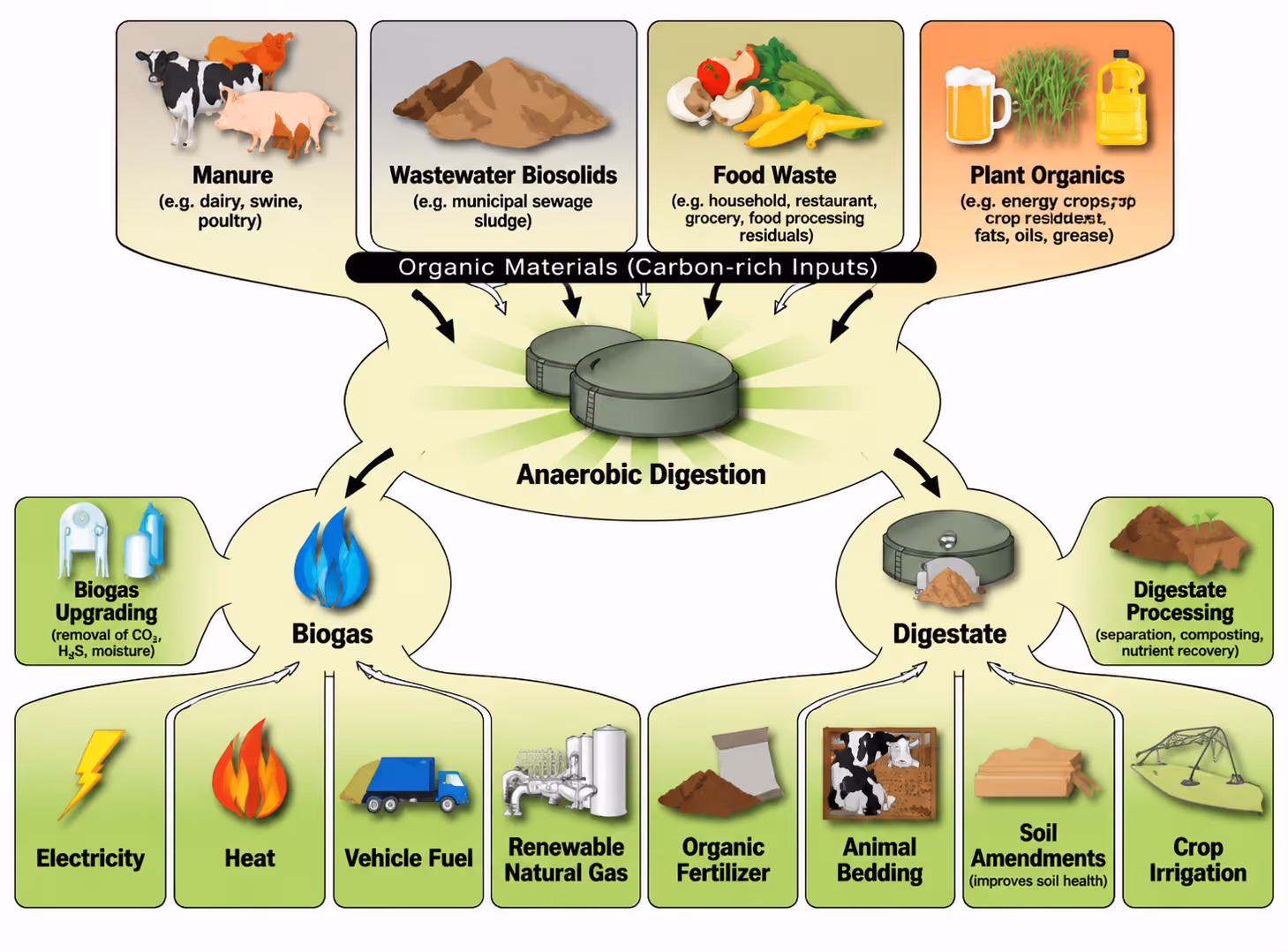 Biogas Production